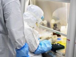 Шувууны томуугийн H3N8 вирус хүнд халдварласан анхны