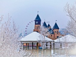 Зүүн аймгуудын ихэнх нутгаар цас орж, цасан шуурга ш